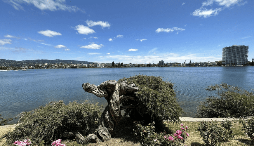 Lake Merritt Walk